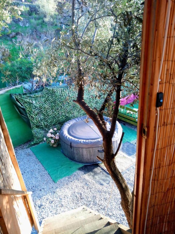 Treehouse ,Casa Arbol, With Spa อัลการ์โรโบ ภายนอก รูปภาพ